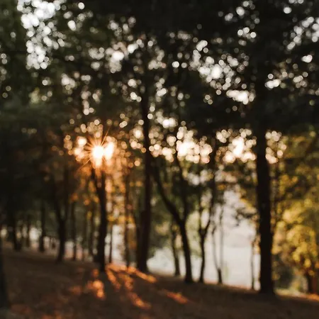 Timeout Отель типа 