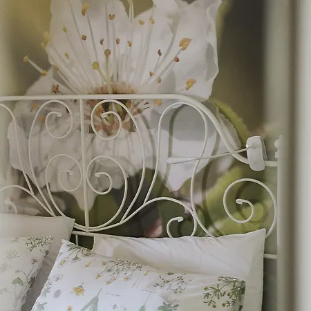 Bed & Breakfast Timeout