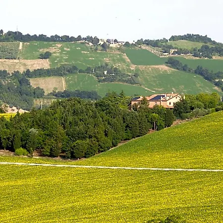 Timeout Bed & Breakfast Polverigi