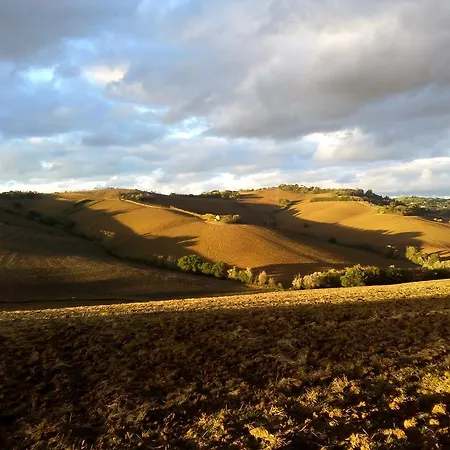 Bed & Breakfast Timeout Polverigi