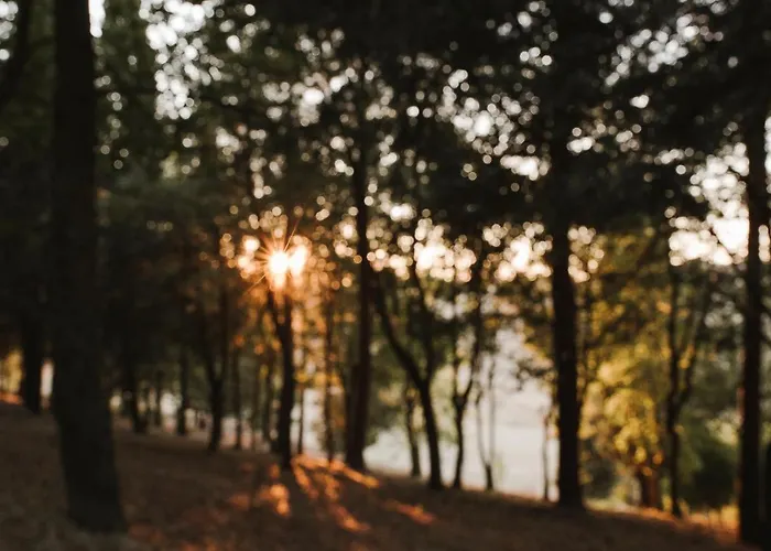 Timeout Nocleg ze śniadaniem 4*