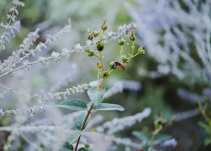 Nocleg ze śniadaniem Timeout Polverigi